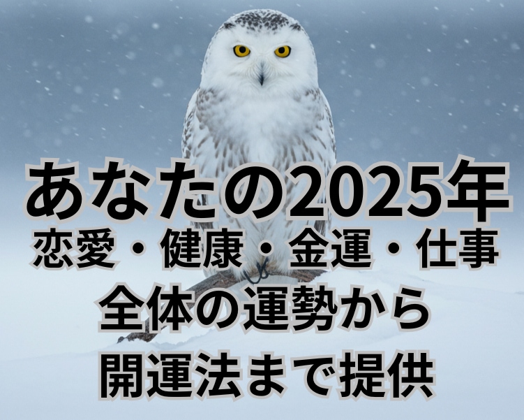 あなたの2025年の運勢と開運法を伝授します サードアイ霊視で視るあなたの未来、使命　オーダーメイド開運術 イメージ6