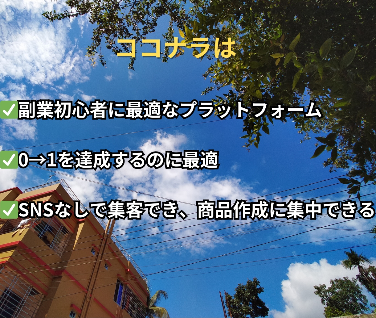 ココナラノウハウ大全 出品と運用のコツ教えます 副業初心者・在宅OK！学生や主婦の方もオススメのノウハウ イメージ6