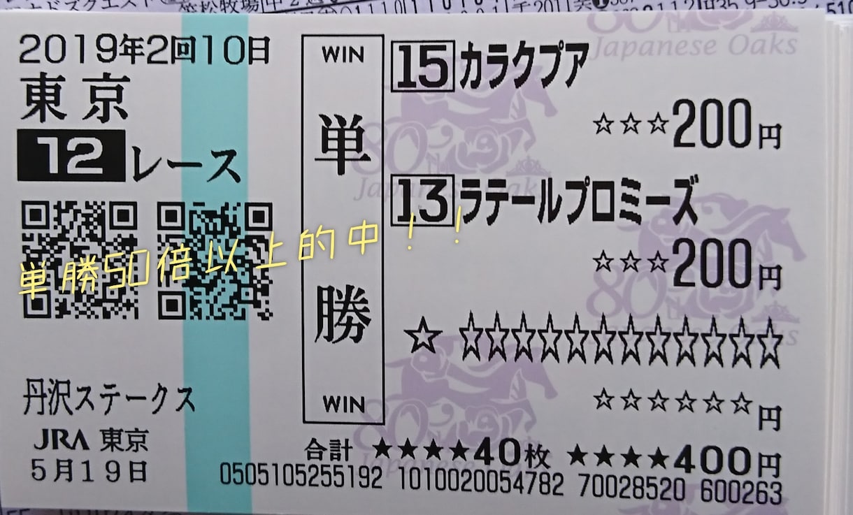 札幌記念穴狙い打ちます 札幌記念、一緒に勝負しませんか？ イメージ5