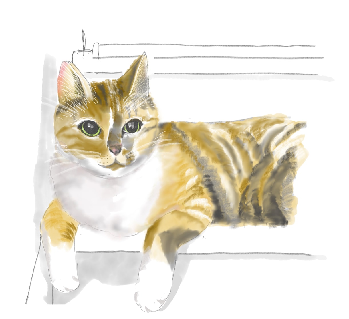イラスト制作します リアルな猫のイラストを描きます イメージ2