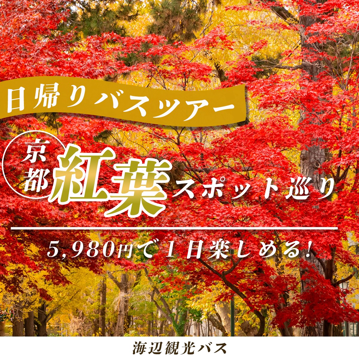 WEB画像を作成します 全サイズ一律料金　広告用バナーやSNSのヘッダーなどに！ イメージ4