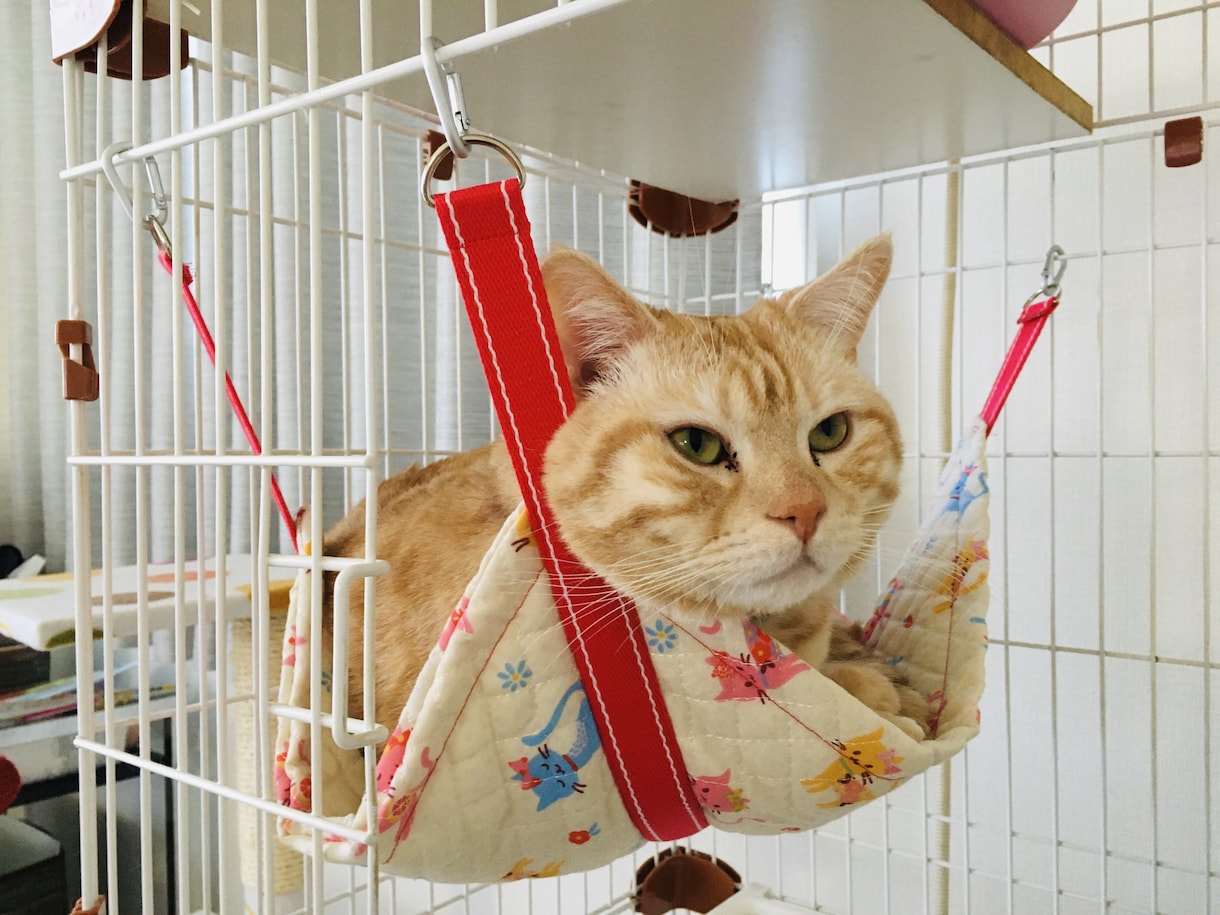ハンドメイド品お作り致します アクセサリー、猫 小動物用ハンモック、フラワーアレンジメント イメージ2