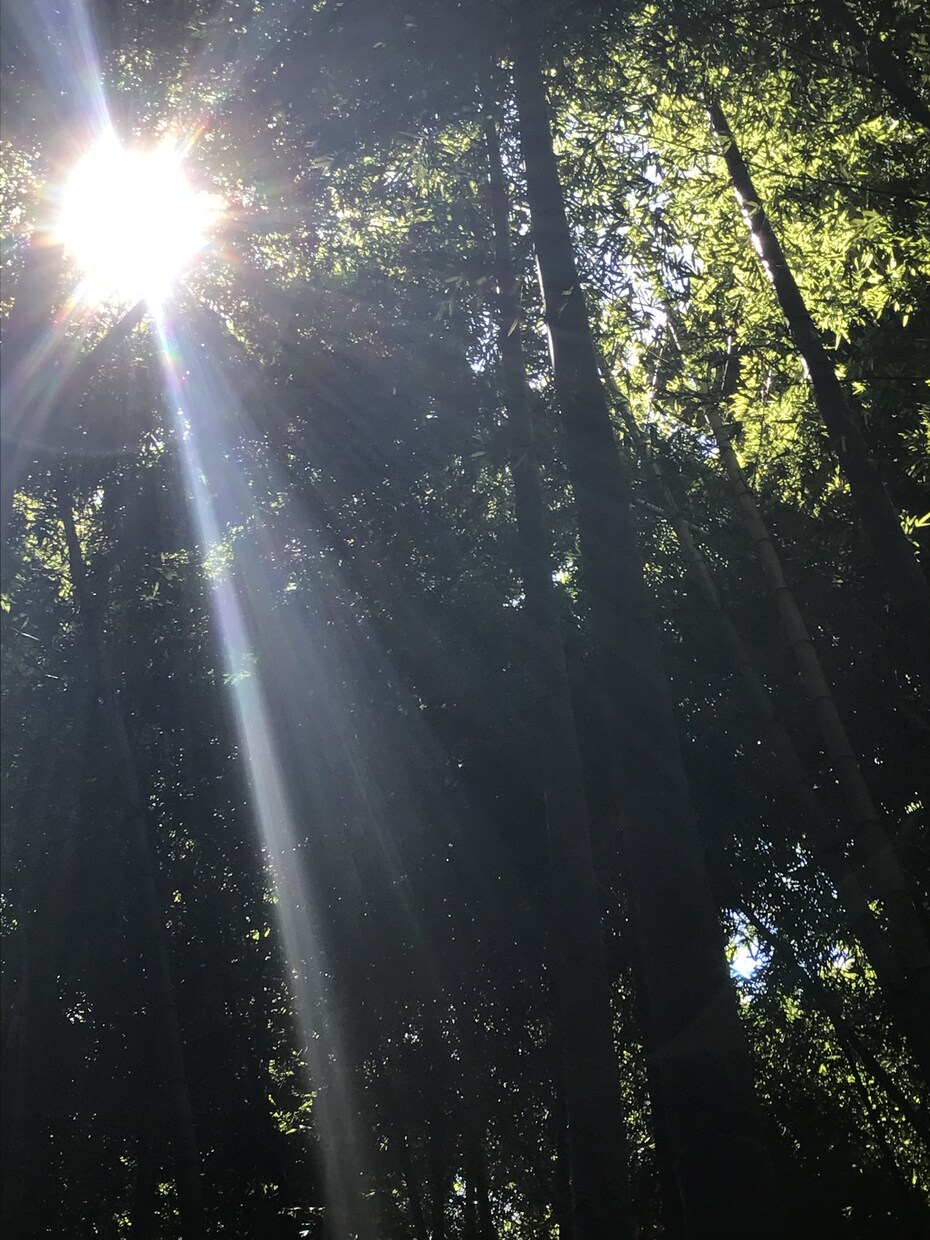 日頃のお悩みや愚痴など何でも聞きます 些細な悩みでも、とにかく自分の話を聞いてほしい方へ イメージ1