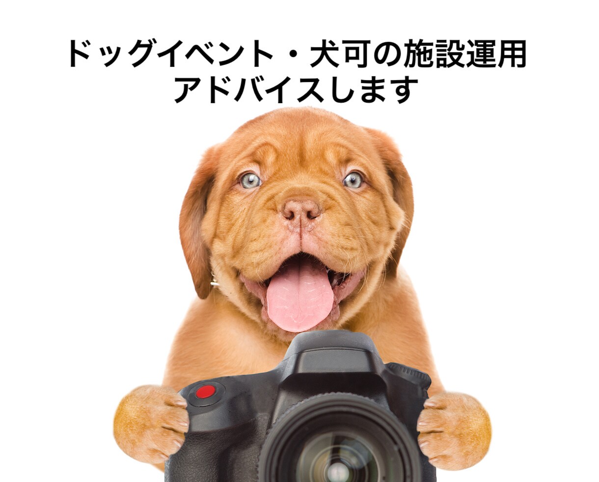 ドッグイベント・犬可の施設運用電話アドバイスします 年間、最大330日ドッグイベントを実施してきた実績があります イメージ1