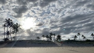 オーストラリア留学、ワーホリ、旅行相談のります 現地在住ガイドが旬な現地の情報をなんでもお答えします！ イメージ2