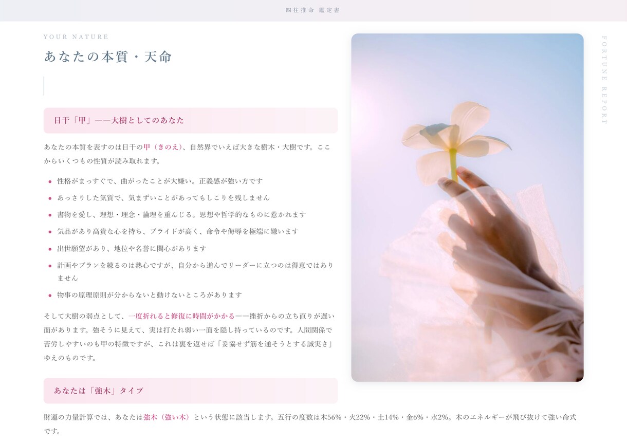 四柱推命×FPで本質と財運を鑑定します お金のプロ×占いで、あなたに合った“幸せなお金持ち”の道を イメージ5