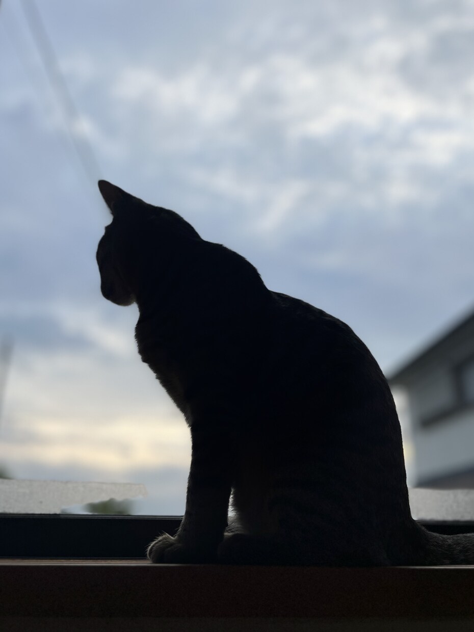 あなたの気持ちに寄り添います あなたを応援し隊として活動始めました☆ イメージ1