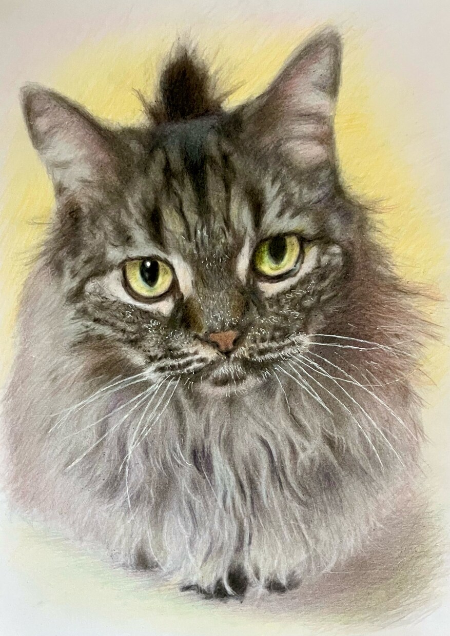 人物やペットなどリアルな色鉛筆画を描きます 色鉛筆の良さを活かして画像より綺麗でかわいい仕上がりにします イメージ3