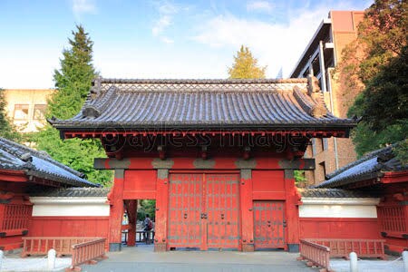 文武両道で志望校に合格するお手伝いをします 現役東大理系女子が相談に乗ります イメージ1