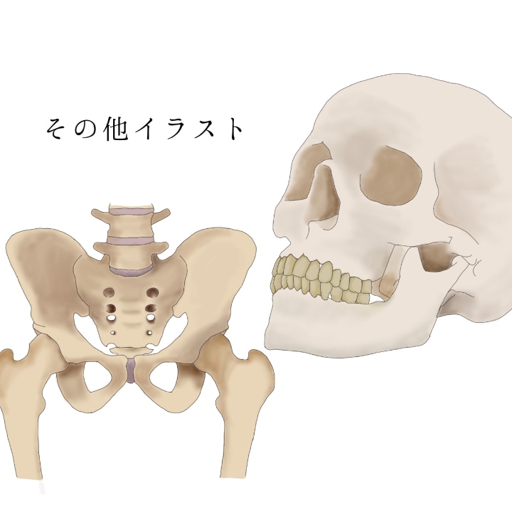 医療従事者のためのイラストを御提供いたします 学会発表や勉強会資料、ポスター作成等で挿絵を必要とされる方へ イメージ3