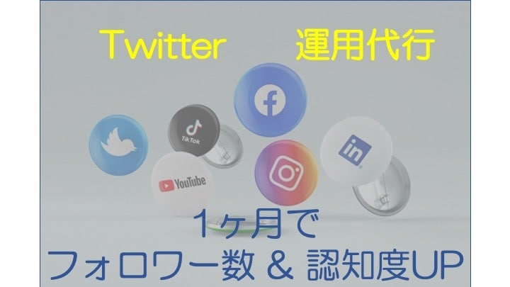 twitter運用の効率化を図ります プログラミング知識不要！丸投げOK イメージ1