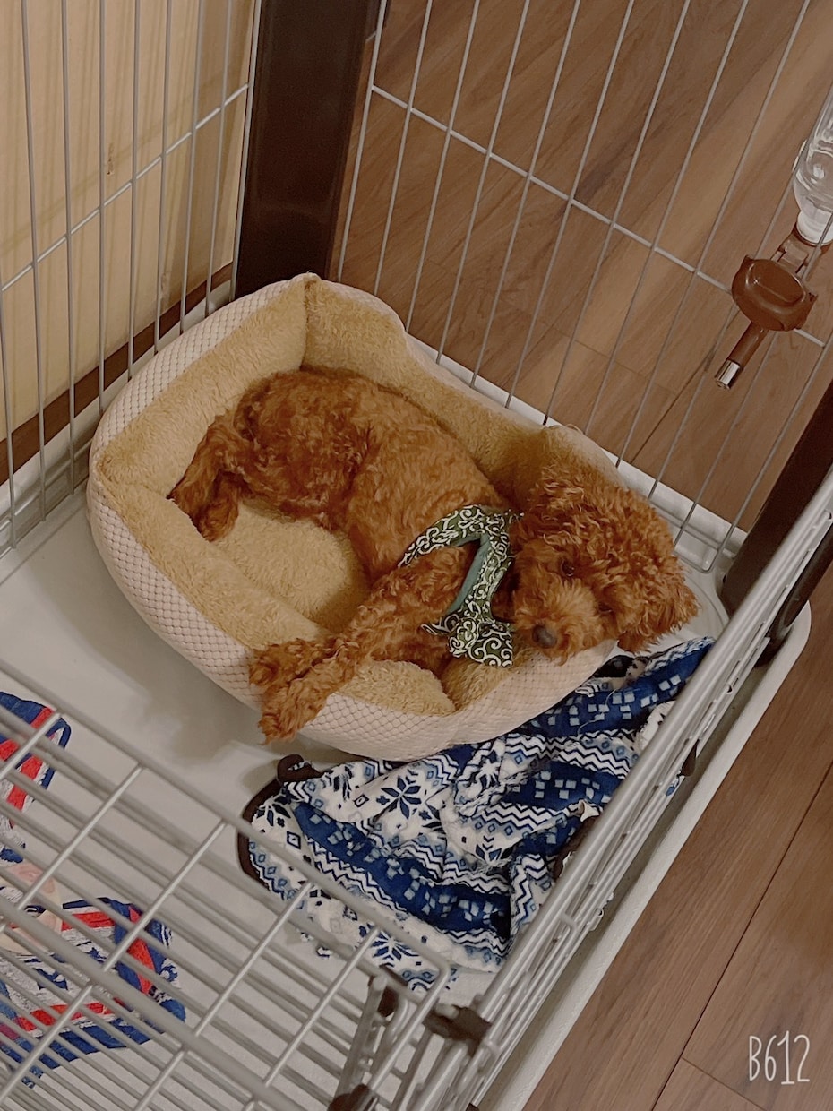 体の不調や変化のご相談に乗ります これってどうなの？まずは話を聞いて欲しいあなたへ【電話版】 イメージ1