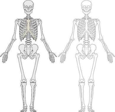 理学療法士と作業療法士夫婦が全力サポートいたします PT/ＯＴ両方なので、多彩なジャンルの悩みに対応できます。 イメージ2