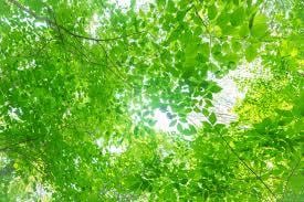 ご相談実績20年♡人生のお悩み穏やかにお聴きします 雑談/毒親/心身の不調/恋愛/仕事/お金/不妊治療/妊活 イメージ9