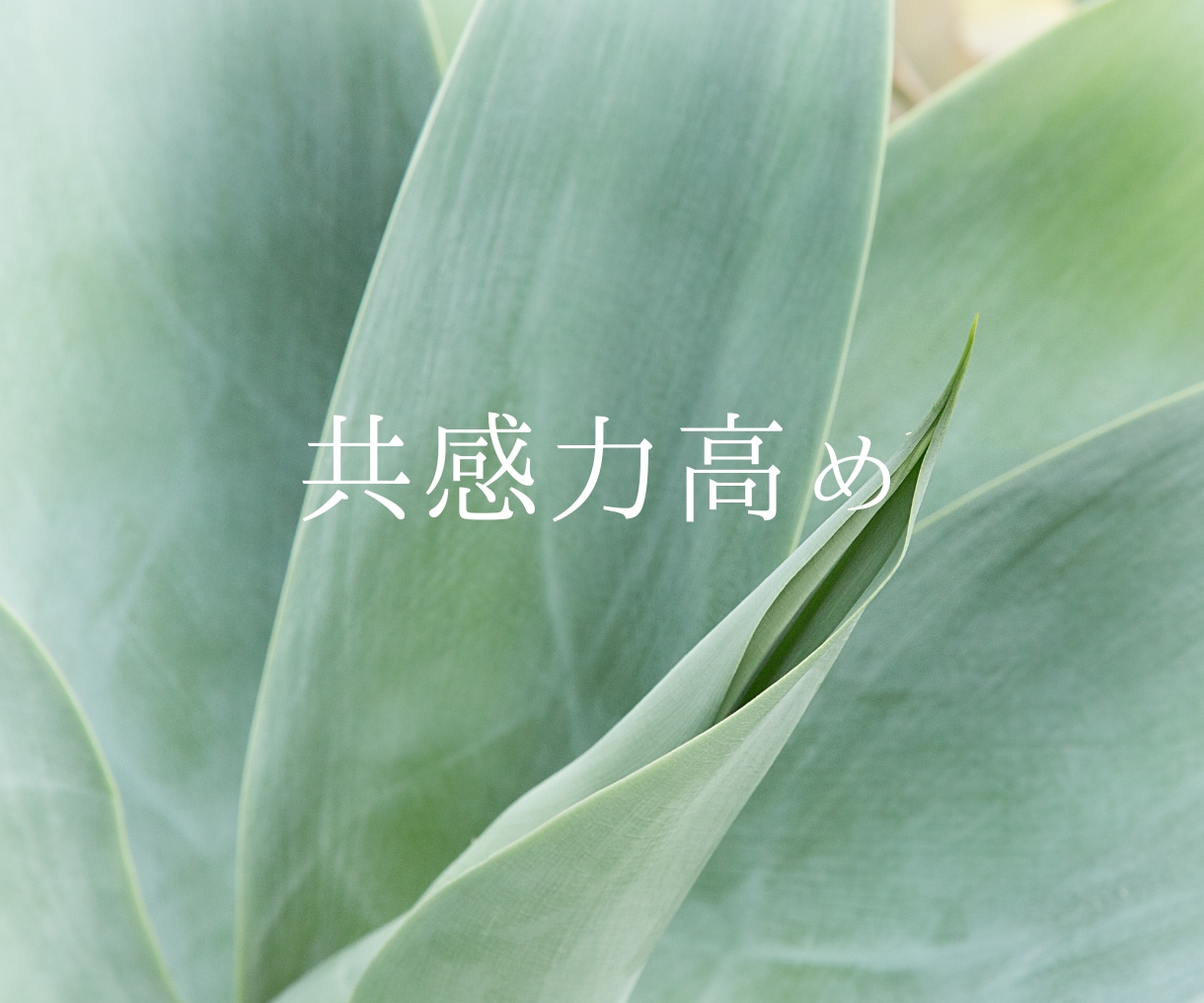 1分からOK！INFPさんのお話をお聴きします どんな話題でもOK！同じくINFPが話し相手になります。 イメージ7