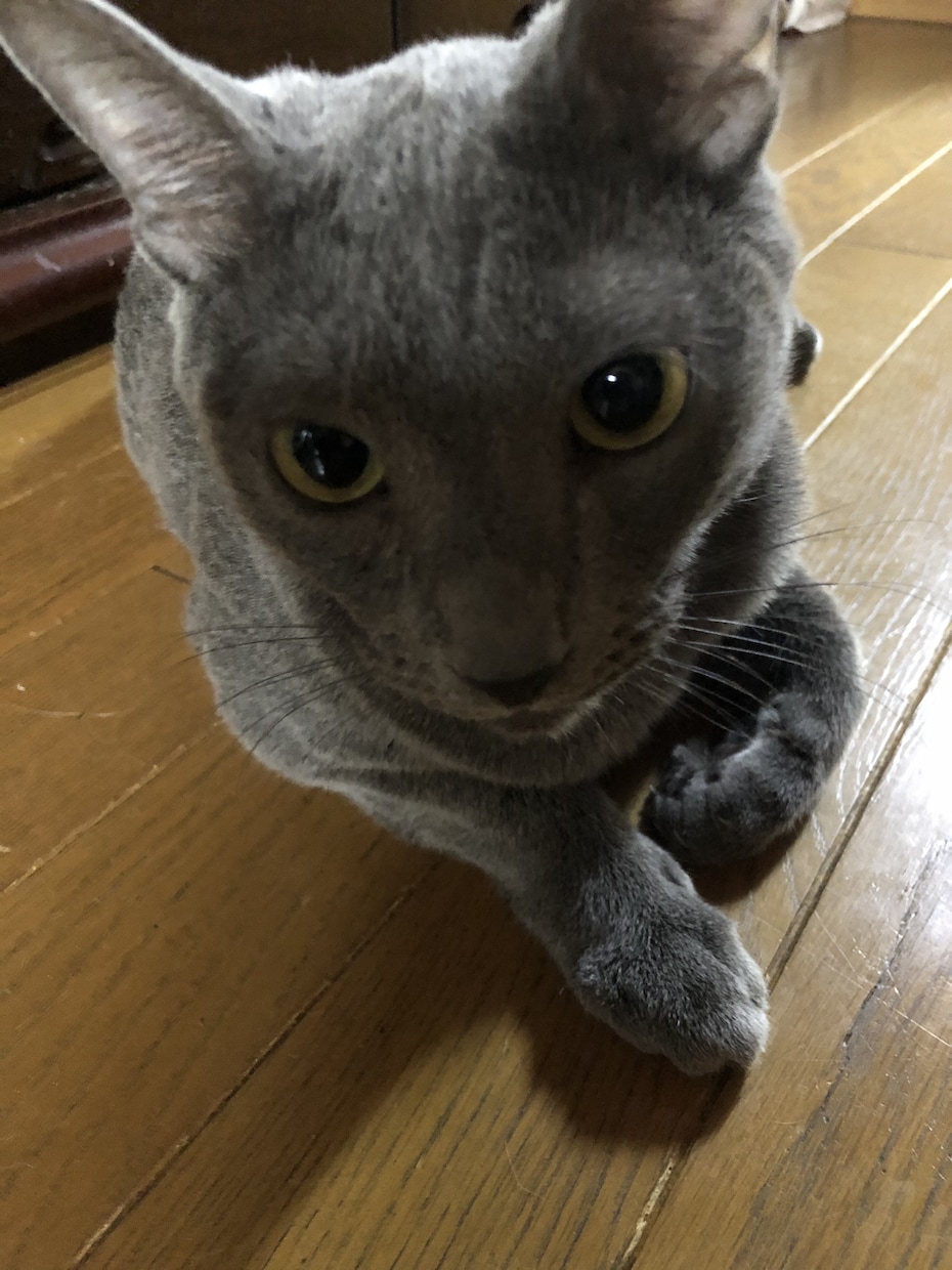 貴方様の恋愛特化占いさせていただきます 少し辛口！片思い、お相手様の気持ち、アドバイス。 イメージ1