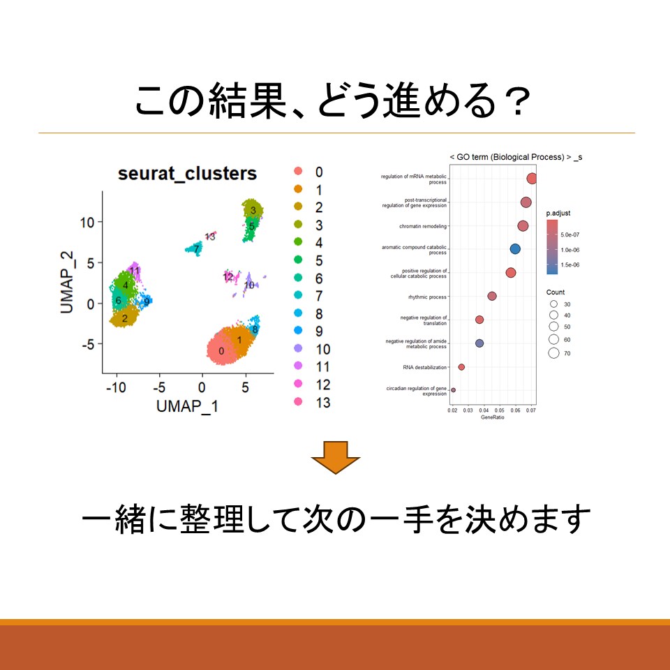 scRNA-seqの結果を対話形式で考えます 一人で悩まず、対話で整理しませんか？ イメージ3