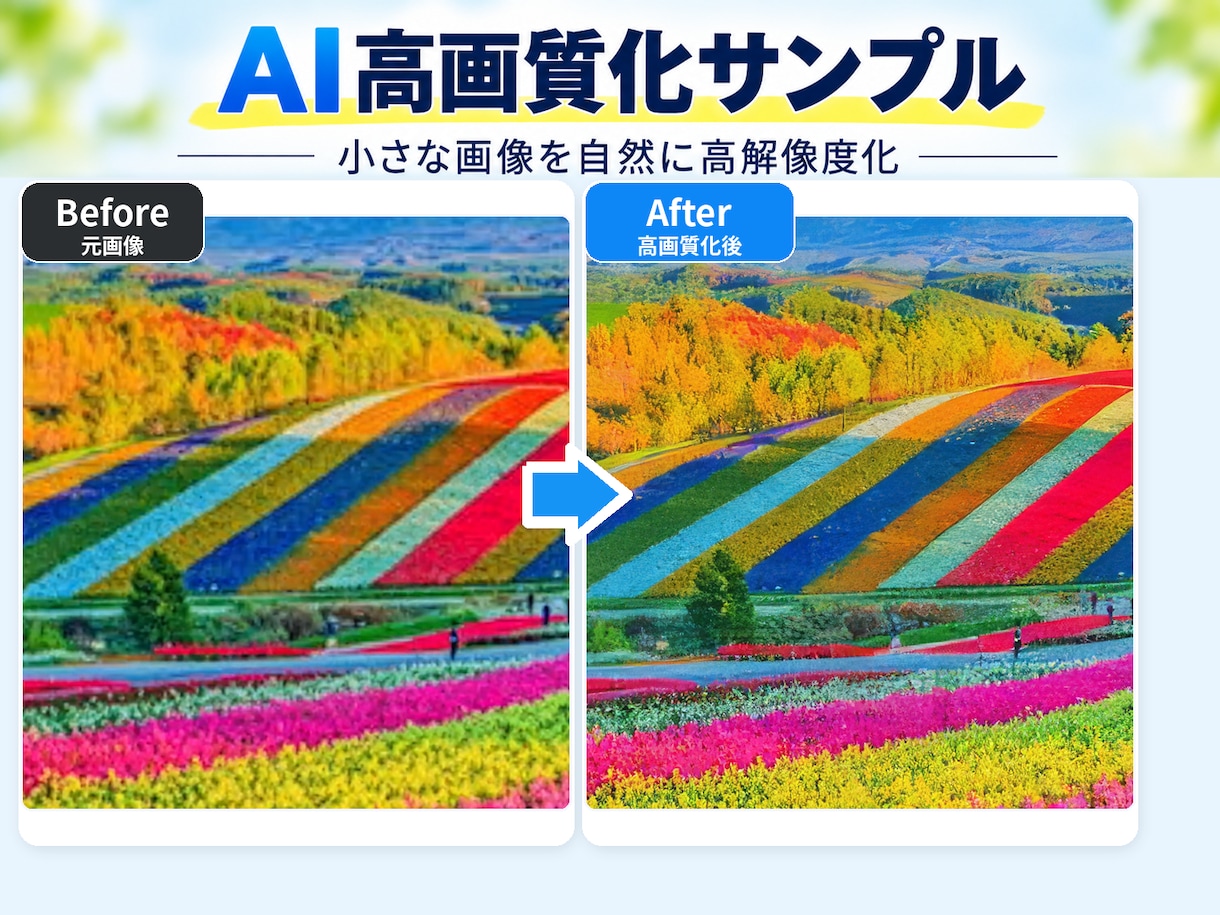 写真や画像を高画質に拡大します 小さな画像も最大400％拡大！鮮明で自然な仕上がりへ イメージ1