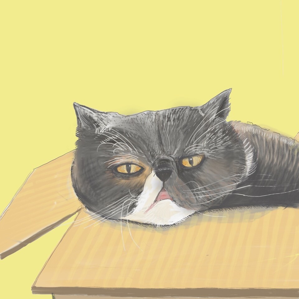 ペットのイラストを描きます 犬・猫・小鳥などあなたのペットをおしゃれに描きます イメージ1