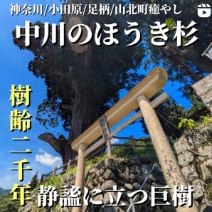 あなたの店の魅力と大切な想いを感動的な映像にします 心に響く言葉と映像で、あなたの魅力を唯一無二の形にしましょう イメージ10