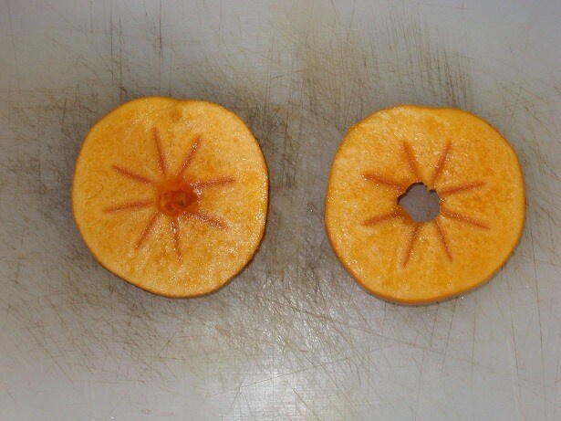 柿の接ぎ木教えます イメージ1