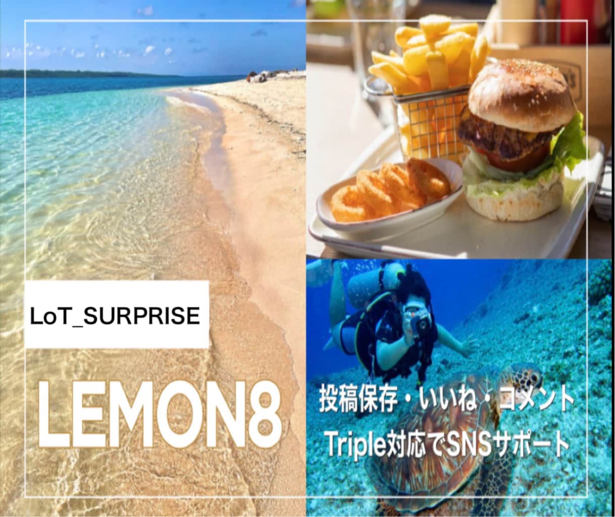 Lemon8/いいね&コメントで30個増やします あなたの日常投稿&動画をFULL応援で盛り上げます！ イメージ1