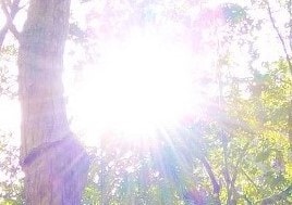 貴方の誕生日をお祝いします 貴方のお誕生日のためのヒーリング画像言葉選びお送りいたします イメージ1
