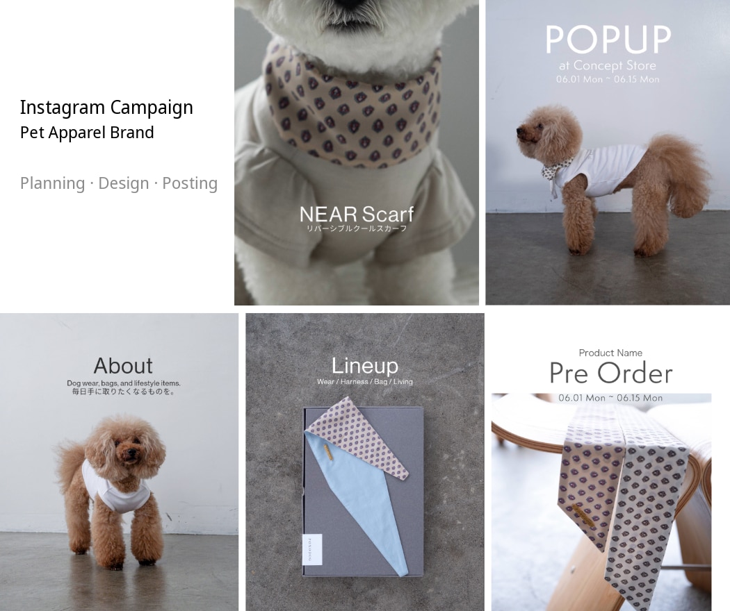 Instagram投稿・カルーセルをデザインします 業種を問わず、伝わるInstagram投稿を制作します イメージ3