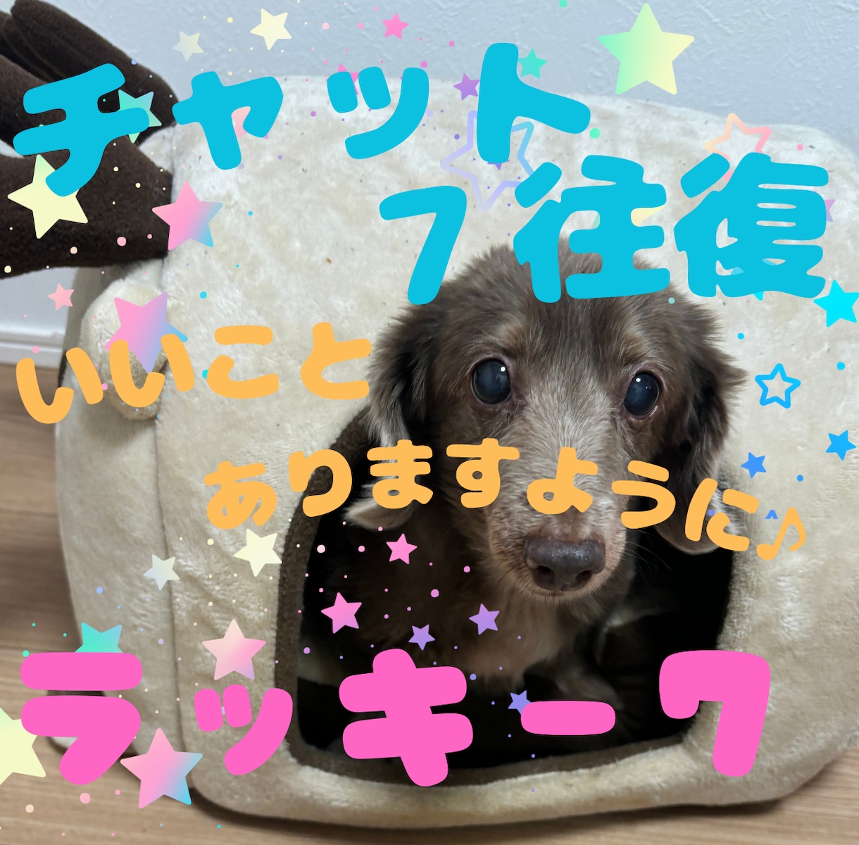 少し変わったチャットしませんか✨☘あなたに任せます あなたのカスタマイズ次第✨☘たくさんやり取りできお得✨☘ イメージ1