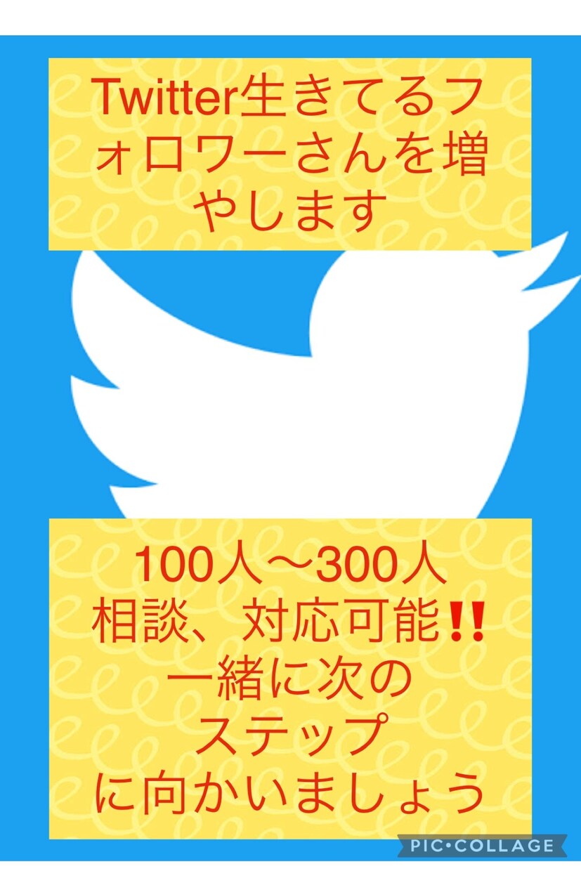 1週間で?Twitterのフォロワ増やします 今悩んでる方、相談も可能です！次に向けて進みましょう‼️ イメージ1
