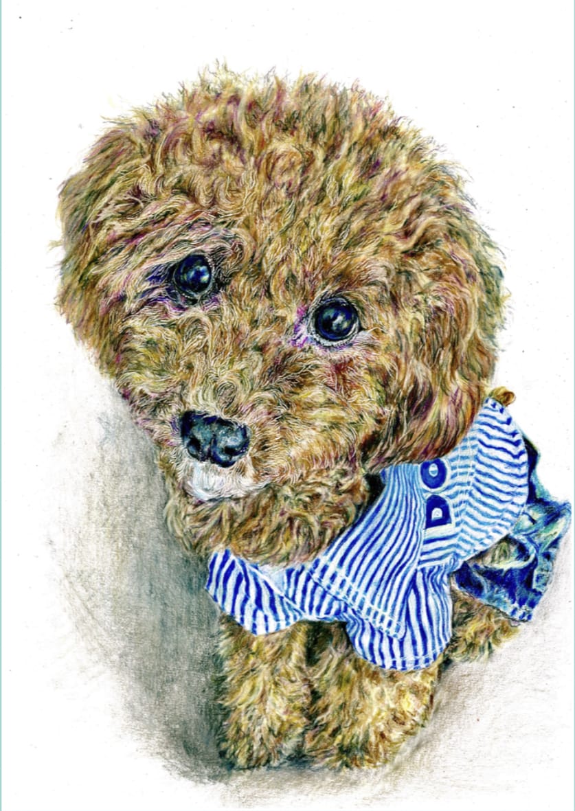 部屋に飾りたくなるような動物画を描きます ペットの似顔絵やあらゆる生き物の絵の作成依頼を承ります。 イメージ2