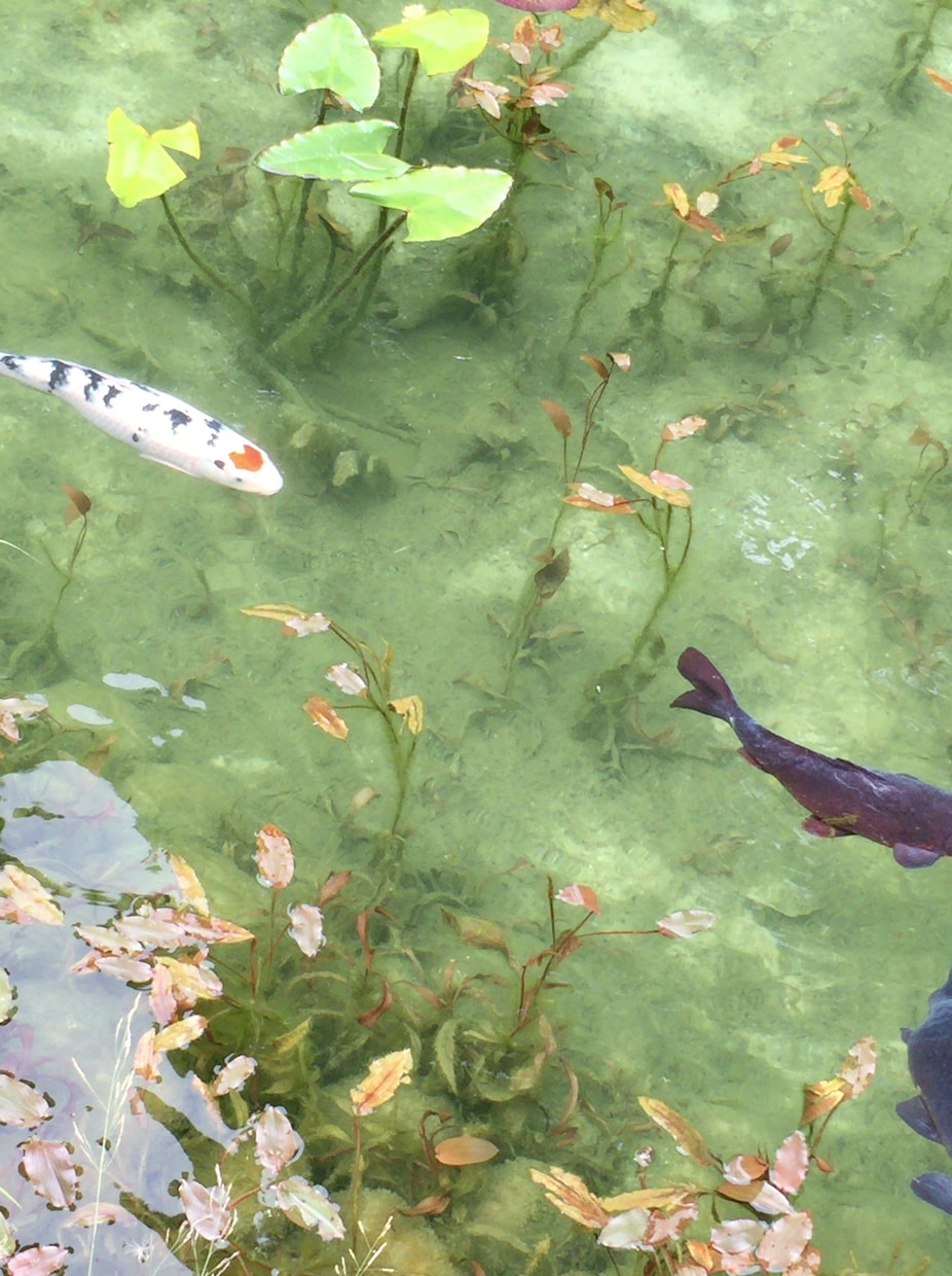 前向きになれるメッセージをお伝えします 先に進みたいと思ってる人にオススメです。 イメージ2