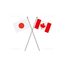 日本・カナダハーフのバイリンガルが英語を教えます 初心者歓迎！～中級者まで、依頼者様のレベルに応じてレッスン！ イメージ1