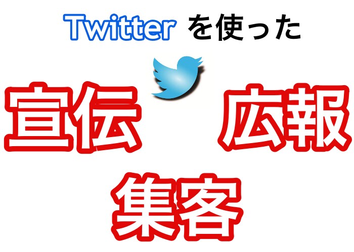 実績画像あり。ツイッターの集客・宣伝方法を教えます アクセス倍増！Twitterで集客・宣伝したい人向け イメージ1