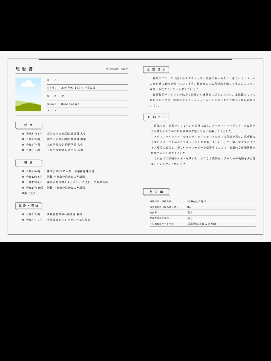 履歴書　職務経歴書PDF作成　代行いたします 安心！安い！面倒な履歴書、職務経歴書のPDF作成を代行！！ イメージ2