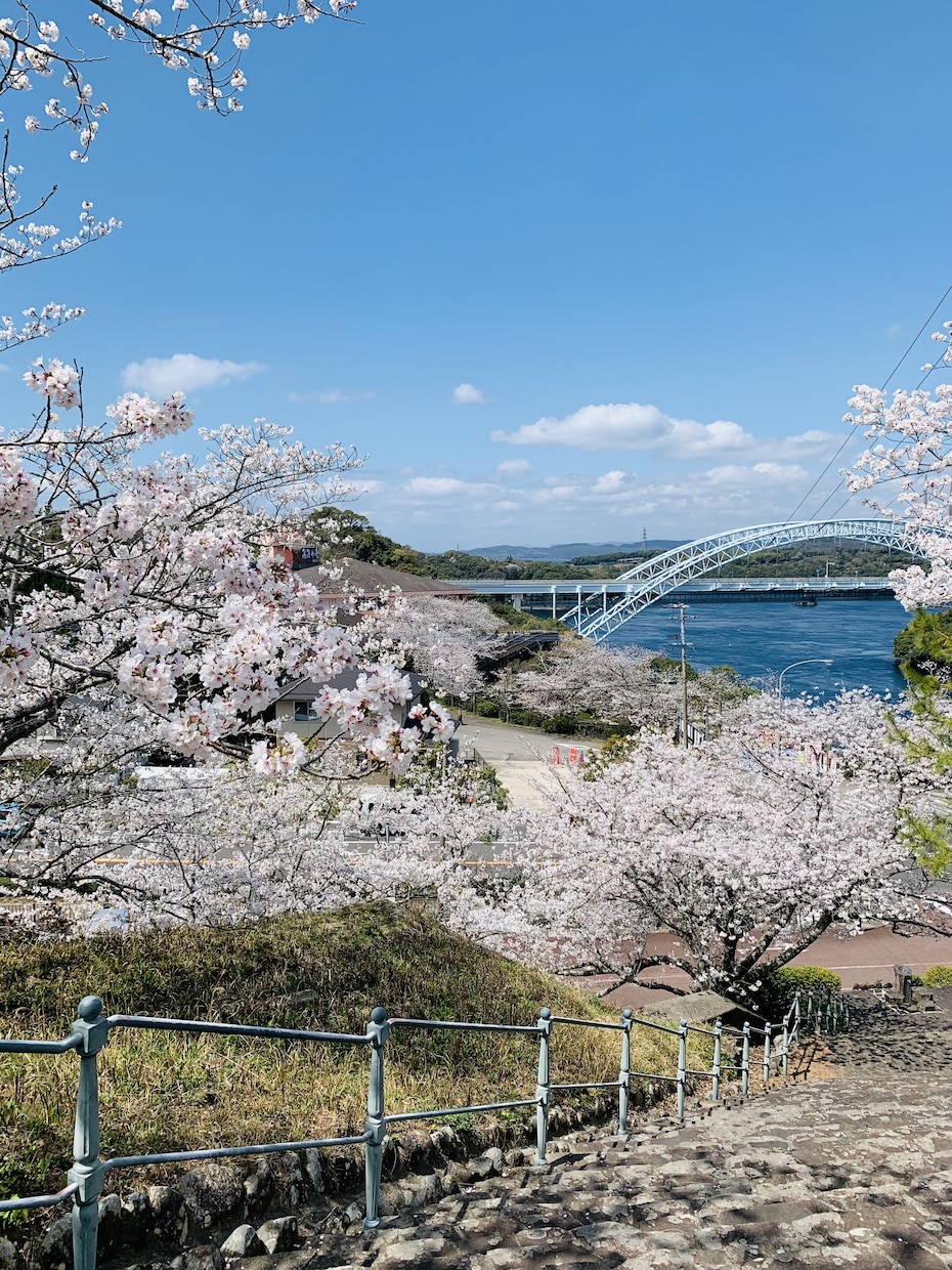 写真の撮影や編集作業をします 明るさ・色味・雰囲気、理想の一枚に近づけます。 イメージ3
