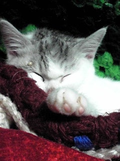 名付け】あなたの大切な赤ちゃんの名前を決めます 一生のお付き合いになる名前。運気に与える影響は大きいです。 イメージ8