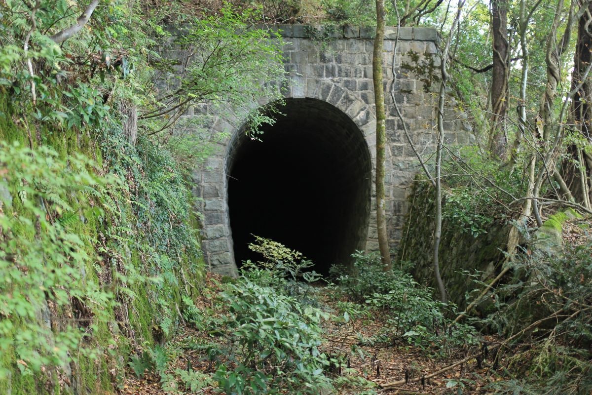 鉄道廃線跡,旧線跡歩きの相談に乗ります オススメのコース紹介や歩き方のご相談喜んで承ります! イメージ4