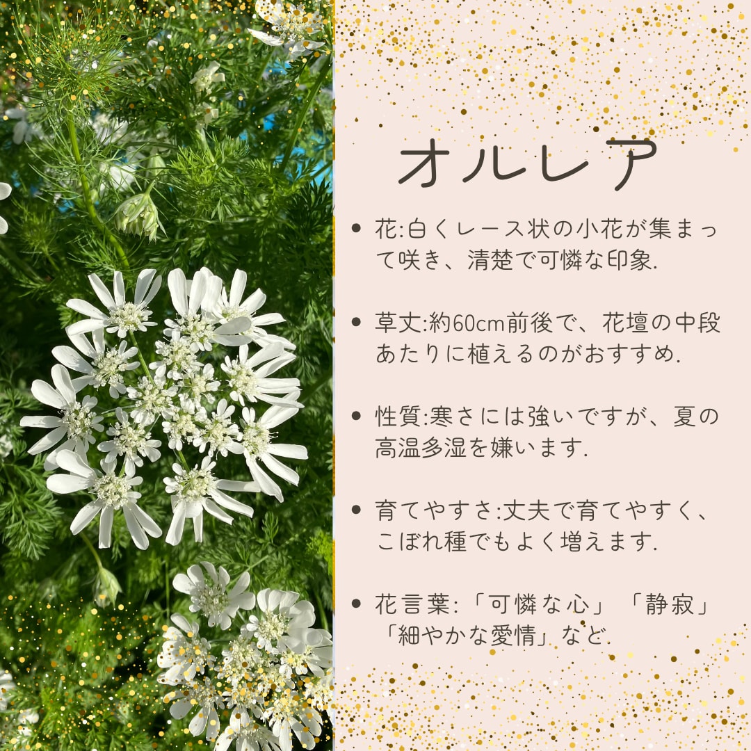 メルカリ出品写真を丁寧に編集＆加工します 背景白抜きや明るさ調整、文字入れなど対応可能。 イメージ2