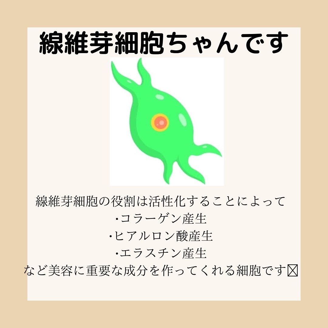 幹細胞コスメについて学術的に説明します 幹細胞の研究者による学術的視点 イメージ3