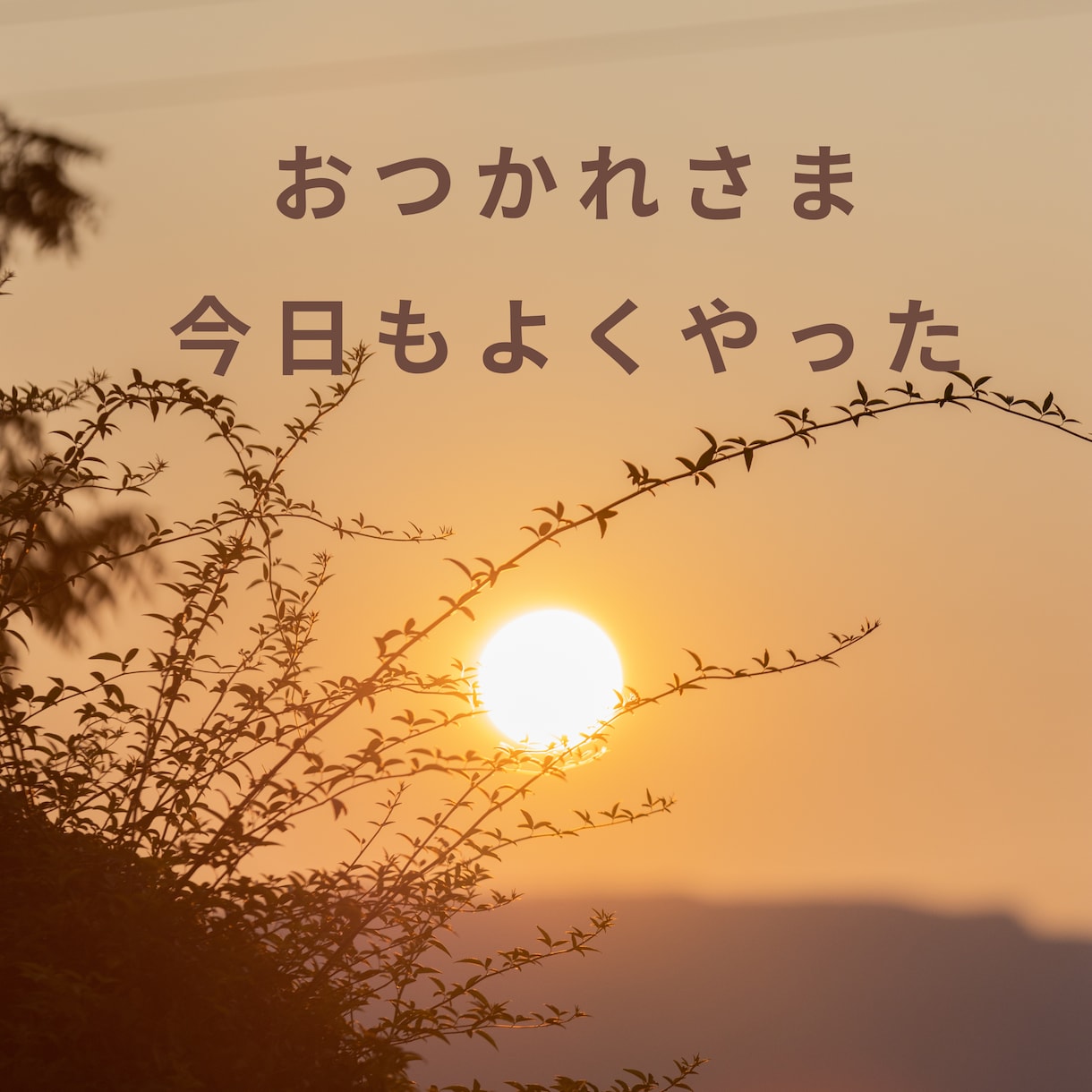 我慢しなくて大丈夫｜本音を安心して話せます こころを解放する時間｜こころが軽くなる場所 イメージ5