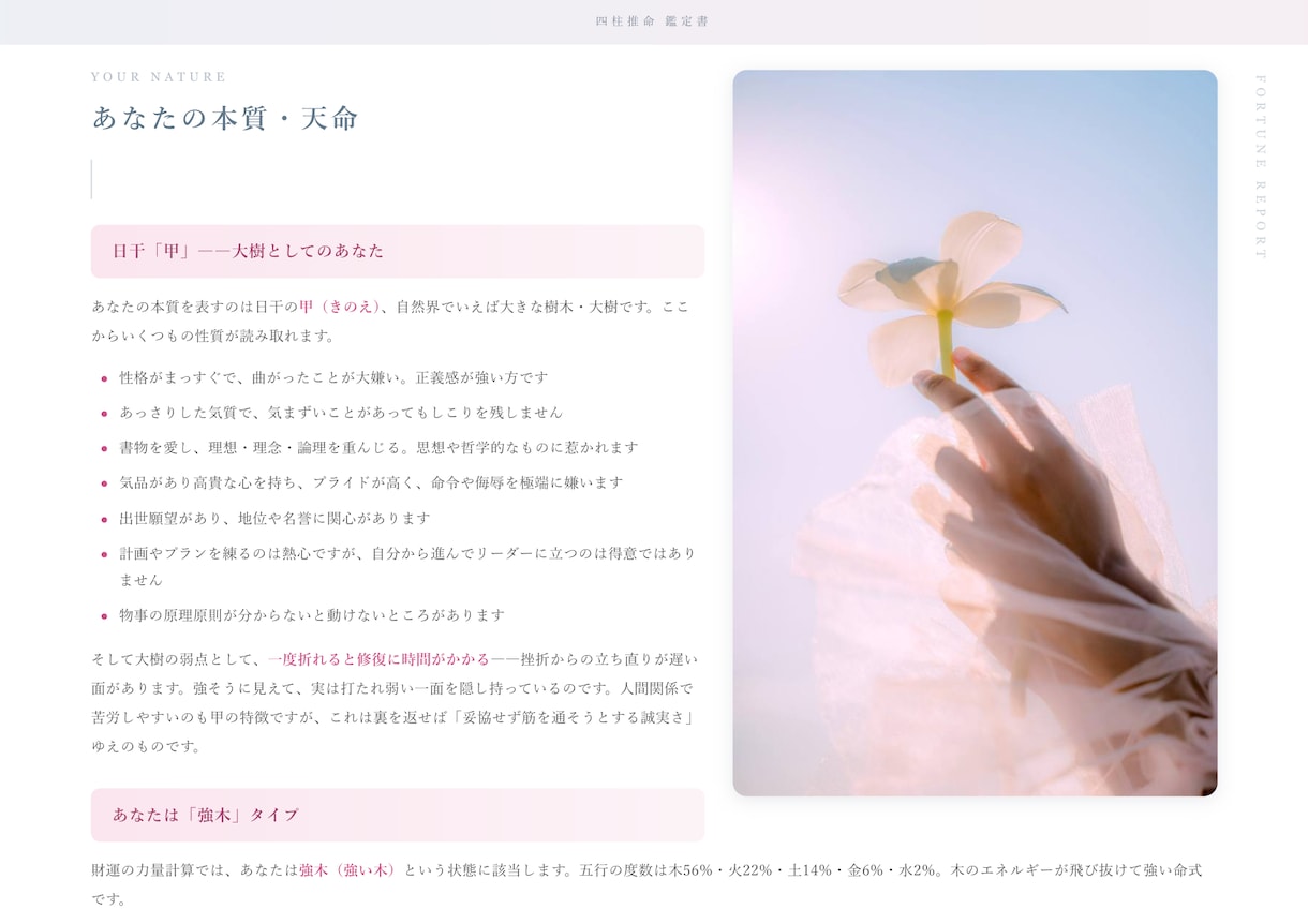 オンライン鑑定付き！あなたの本質と財運を鑑定します FP占い師初樹がオンラインで鑑定書の解説をします！ イメージ5