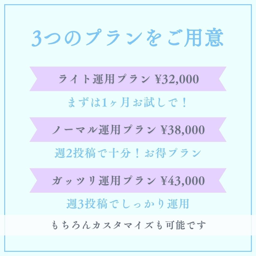 忙しいあなたに変わってインスタグラム運用します 予算、ご要望に応じて3つのプランをご提案！ イメージ2