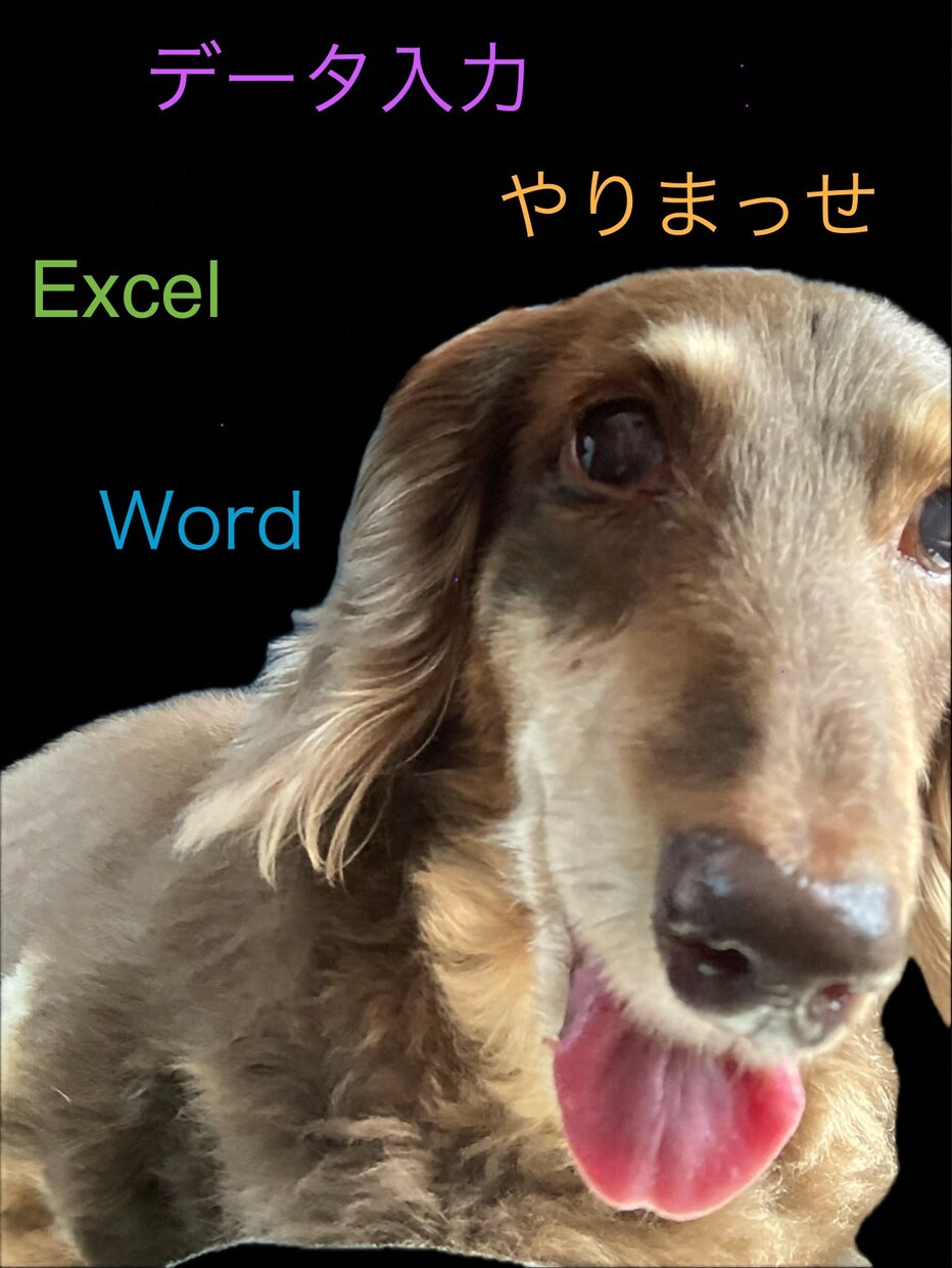 現役営業事務員がたくさん入力します 土日祝のみの活動ですが、明るく親切丁寧に対応します！ イメージ1