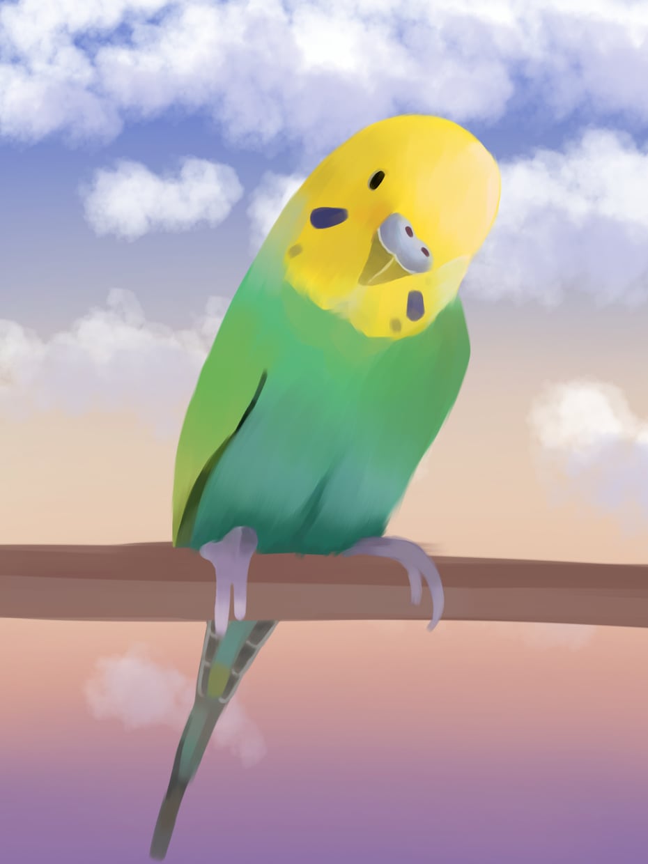 あなたの可愛いペットの鳥ちゃんを可愛く描きます 鳥ちゃんの絵を50枚以上描いてきた者が描きます！ イメージ3