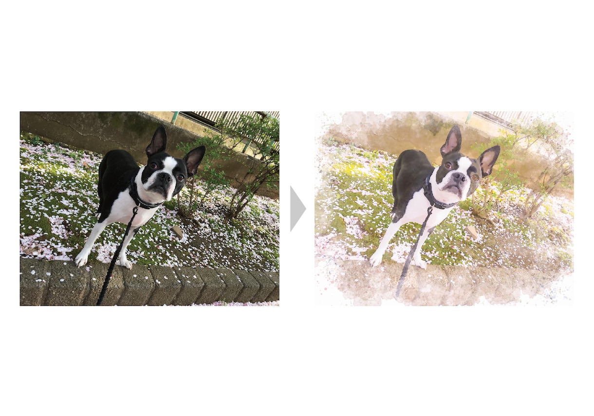 ペットの画像を水彩画風にアレンジします 大切な家族の画像をより素敵なものに、プレゼントにも最適です。 イメージ8