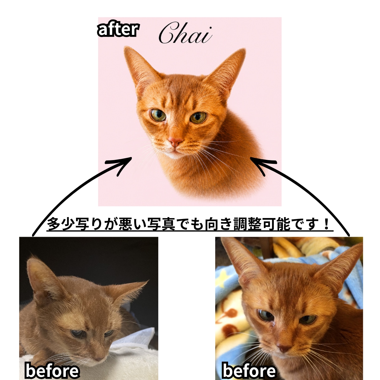 愛犬、猫、ペットの似顔絵アートを作ります お気に入りの1枚を本格キャンバスに。送料込・スマホ写真OK イメージ8
