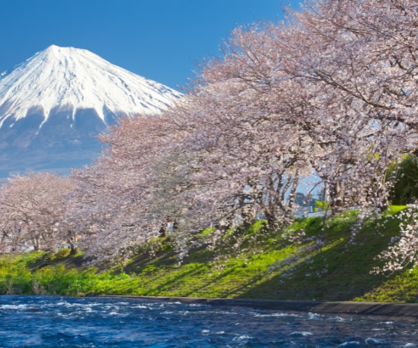 誰にもわかってもらえない辛さ。経験者がお話聞きます 。１分でも話してみませんか？不安な気持ち、お聞きします。 イメージ10