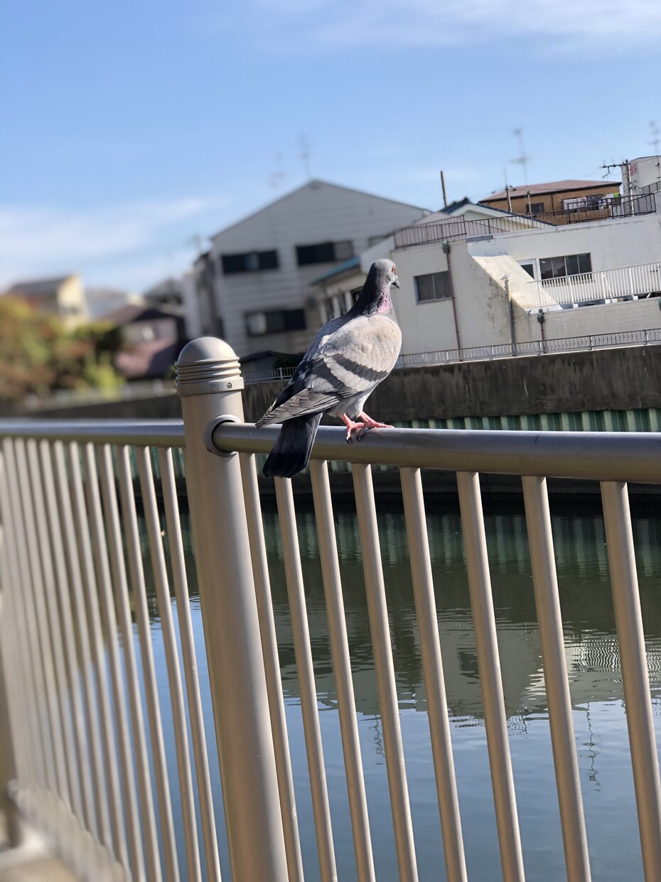 人間関係、恋愛などいま悩みがある人受け付けてます 悩みじゃなく、何か話したいだけという方もぜひ！ イメージ1
