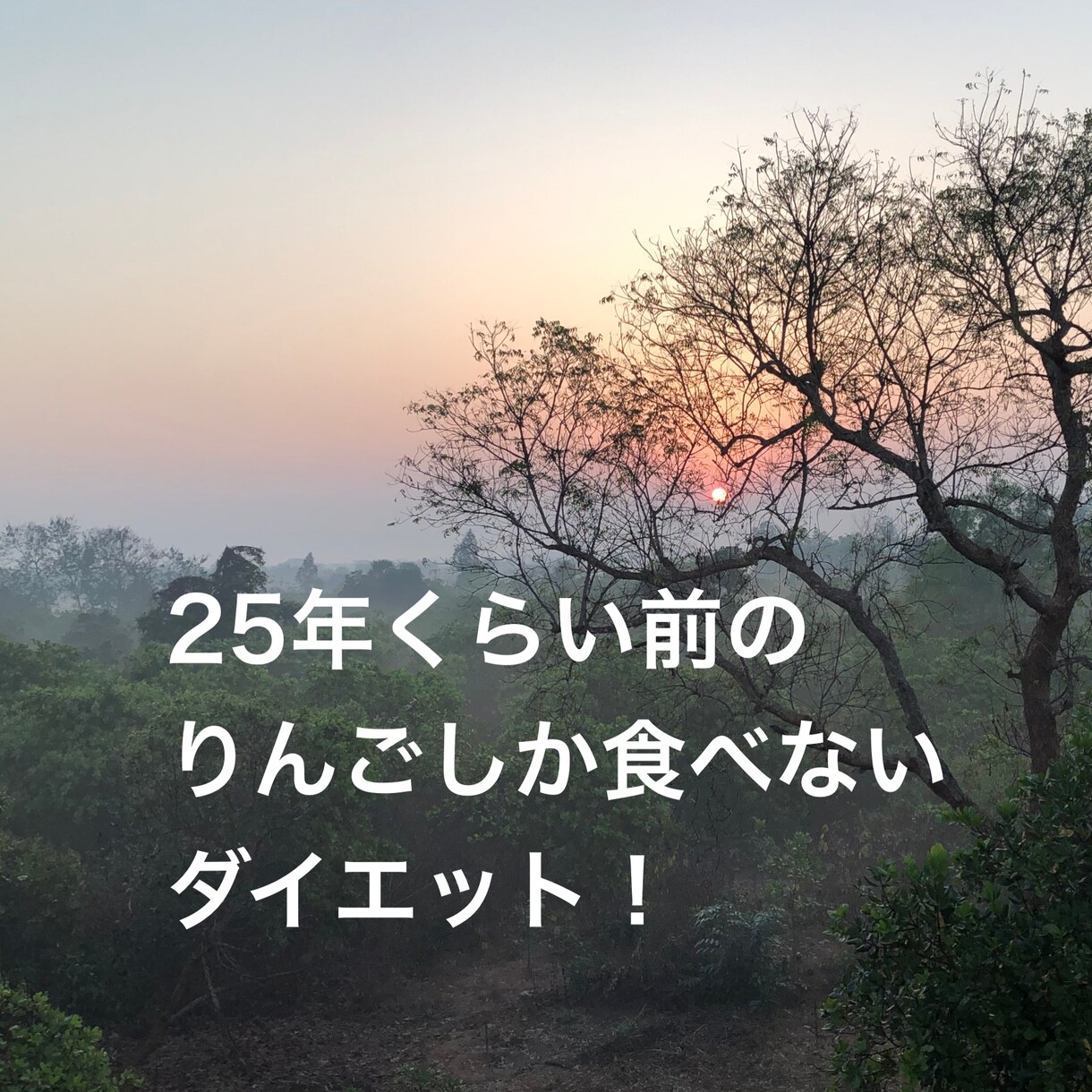 あなたにとっての「食べてやせる」をみつけます 適正体重に戻したい方、ダイエット中の方、まずはお話しきかせて イメージ3